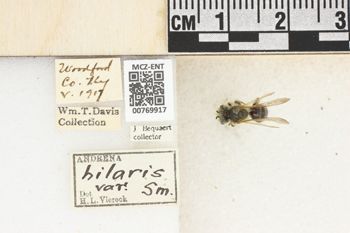 Media type: image;   Entomology 769917 Aspect: Labels